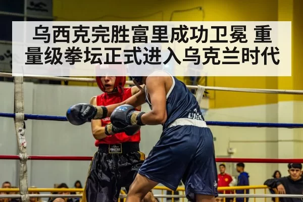 boxer in action